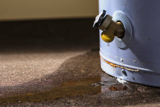 Best Professional water damage repair  in Tipton, MO
