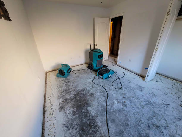 Best 24-hour water damage restoration  in Tipton, MO