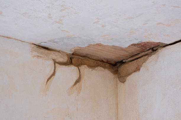Best Residential water damage restoration  in Tipton, MO
