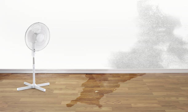 Best Water damage cleanup near me  in Tipton, MO