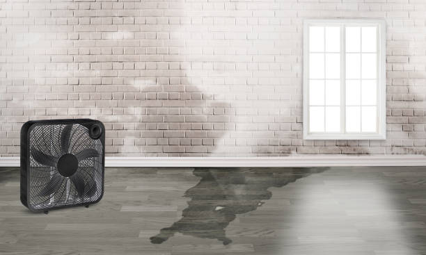 Best Fire Damage Restoration  in Tipton, MO