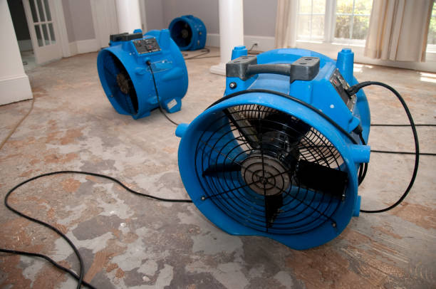 Best Flood restoration services  in Tipton, MO