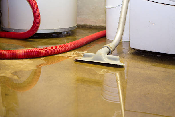 Best Ceiling water damage repair  in Tipton, MO