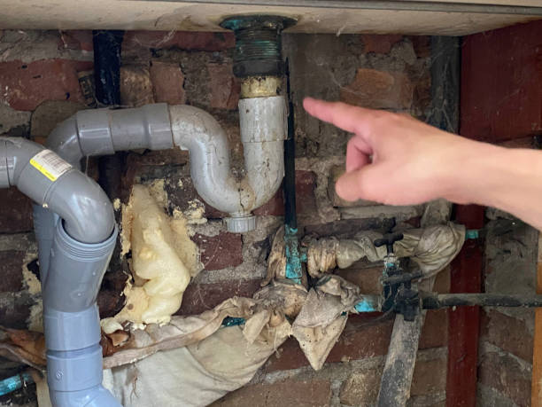 Best Local water damage restoration  in Tipton, MO
