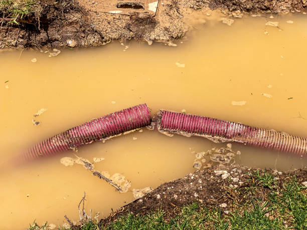 Professional Water damage restoration in Tipton, MO
