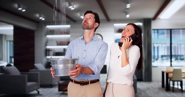 Best Mold removal after water damage  in Tipton, MO