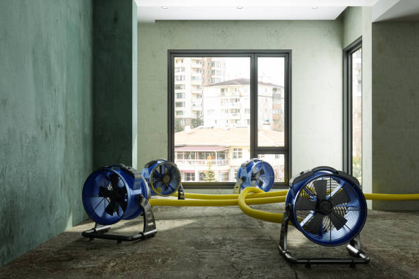 Best Fire Damage Restoration  in Tipton, MO